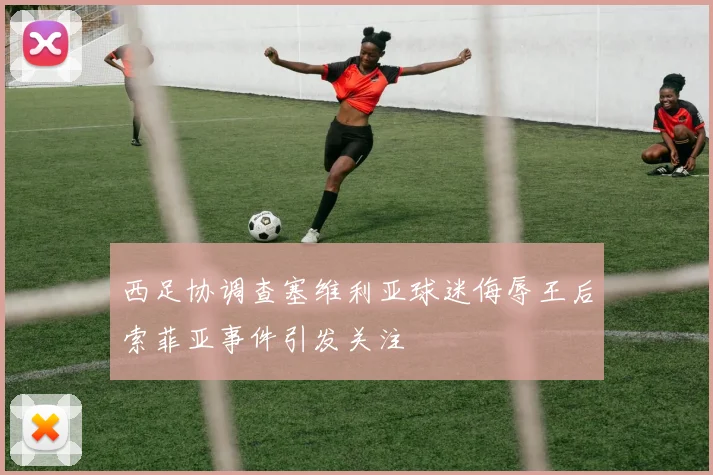 西足协调查塞维利亚球迷侮辱王后索菲亚事件引发关注