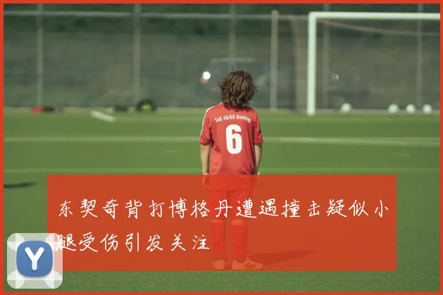 东契奇背打博格丹遭遇撞击疑似小腿受伤引发关注