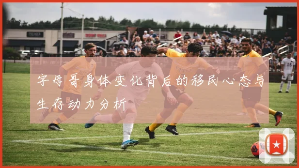 字母哥身体变化背后的移民心态与生存动力分析